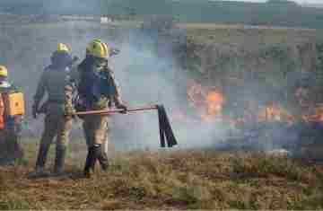  Chuvas e conscientização da população reduzem em 41% incêndios florestais no Paraná